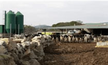 Foro Agro Ganadero