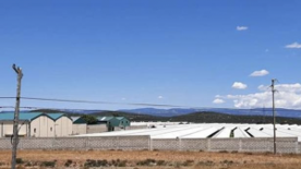Foro Agro Ganadero