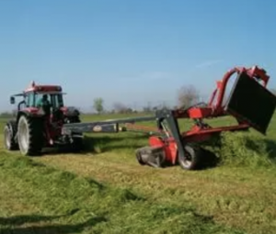 Foro Agro Ganadero