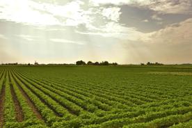 Foro Agro Ganadero