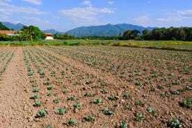 Foro Agro Ganadero