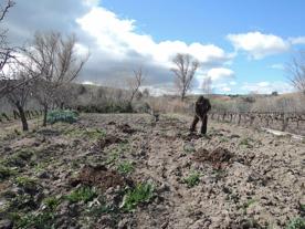 Foro Agro Ganadero