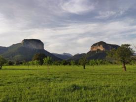 Foro Agro Ganadero