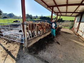 Foro Agro Ganadero
