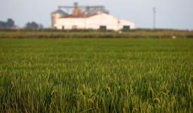 Foro Agro Ganadero