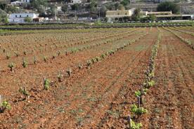 Foro Agro Ganadero