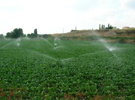 Foro Agro Ganadero