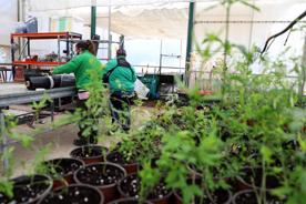 Foro Agro Ganadero
