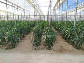 Foro Agro Ganadero