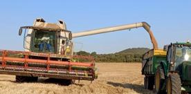 Foro Agro Ganadero