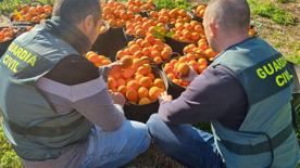 Foro Agro Ganadero