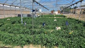 Foro Agro Ganadero