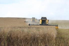 Foro Agro Ganadero
