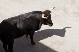 Foro Agro Ganadero