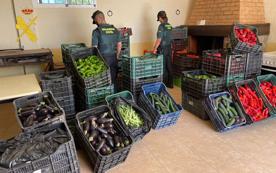 Foro Agro Ganadero