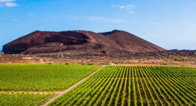 Foro Agro Ganadero