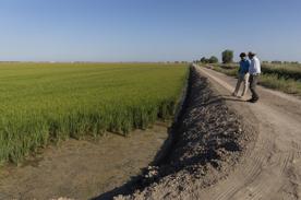 Foro Agro Ganadero