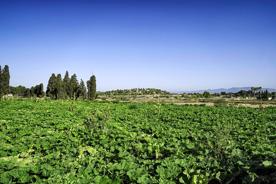 Foro Agro Ganadero