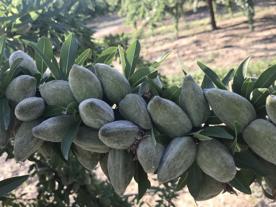 Foro Agro Ganadero