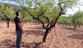 Foro Agro Ganadero