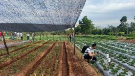 Foro Agro Ganadero