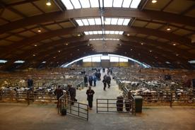 Foro Agro Ganadero