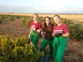 Foro Agro Ganadero