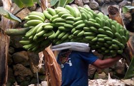 Foro Agro Ganadero