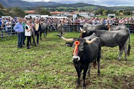 Foro Agro Ganadero