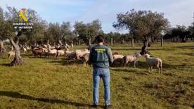 Foro Agro Ganadero