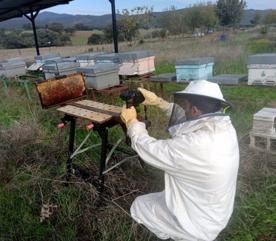Foro Agro Ganadero