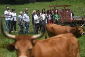 Foro Agro Ganadero