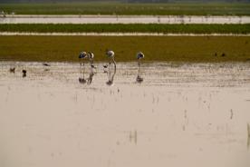 Foro Agro Ganadero