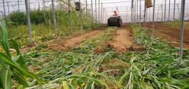 Foro Agro Ganadero