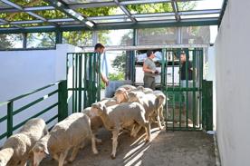 Foro Agro Ganadero