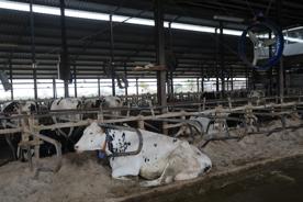 Foro Agro Ganadero