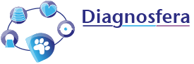 Diagnosfera