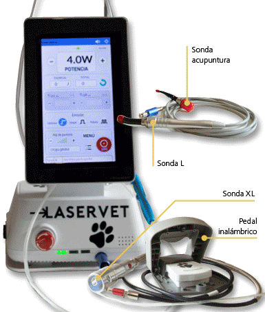 i-vet