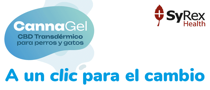 CannaGel: A un clic para el cambio