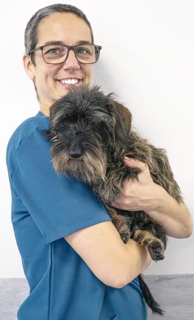 Ponente: Valle Sánchez Ráez