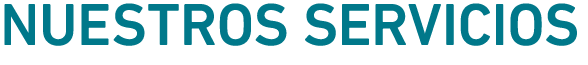 Nuestros servicios