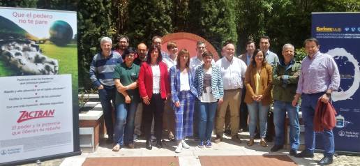 II Encuentro del grupo de expertos de Solomamitis en pequeños rumiantes