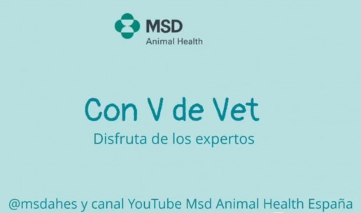 MSD Animal Health presenta “Con V de Vet”, el programa para el veterinario actual