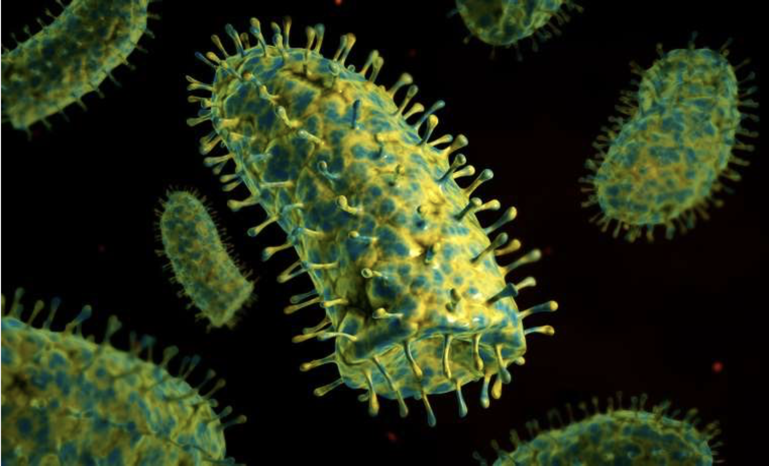 Рабдовирусы микробиология. Вирус бешенства под микроскопом.