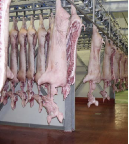 AXON COMUNICACION, Calidad de carne en ganado porcino y papel antioxidativo de la vitamina E