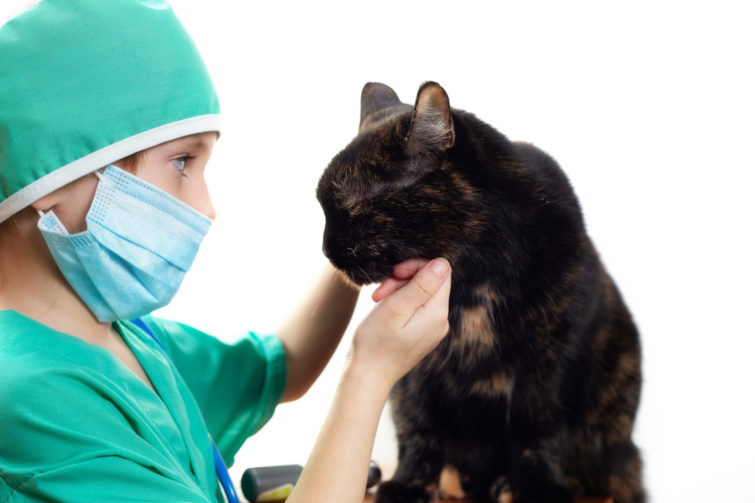AXON COMUNICACION, Fibrosis estenosante de tráquea cervical por avulsión parcial en un gato