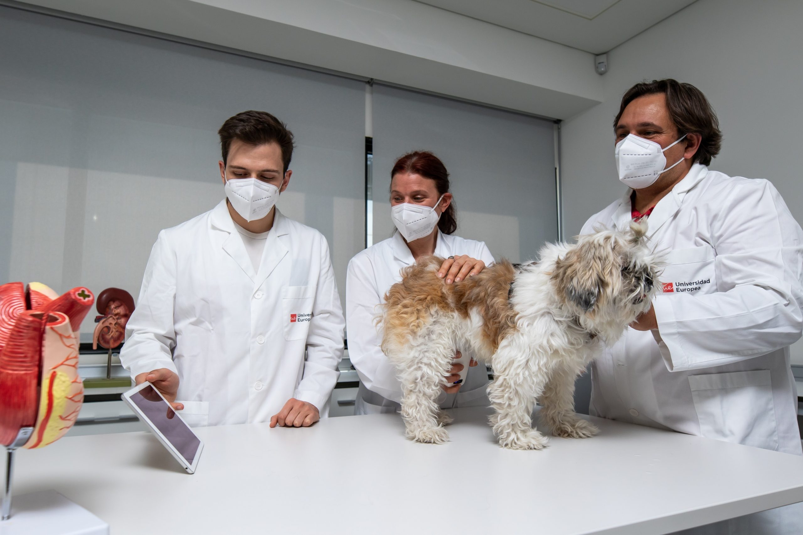 La Universidad Europea lanza el Grado en Veterinaria el próximo curso
