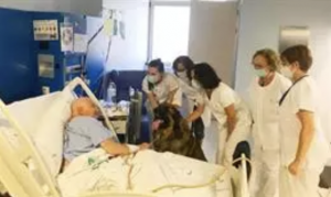 axon comunicacion, Pacientes ingresados con patologías severas y terminales podrán recibir a su mascota
