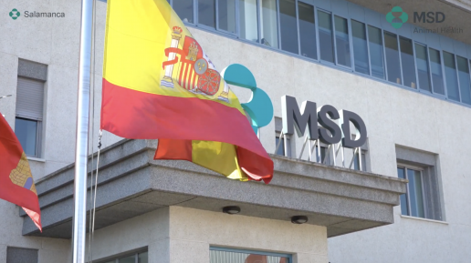 AXON COMUNICACION, España recibe el primer lote de vacunas con tecnología SPHEREON® producido en la Planta de Salamanca de MSD Animal Health