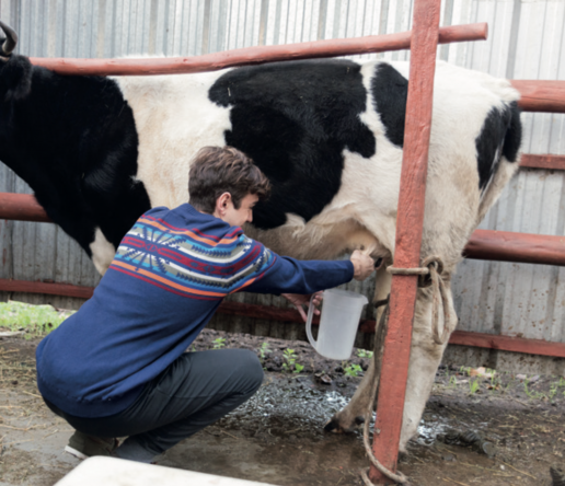 AXON COMUNICACION, Utilización de co-productos proteicos en raciones de vacas lecheras